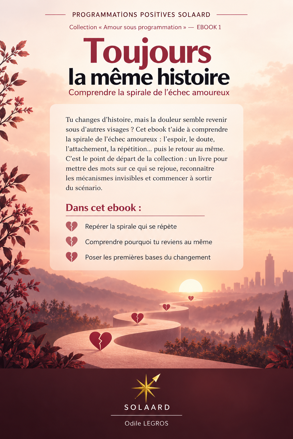 A1_ Amour sous programmation - Toujours la même histoire